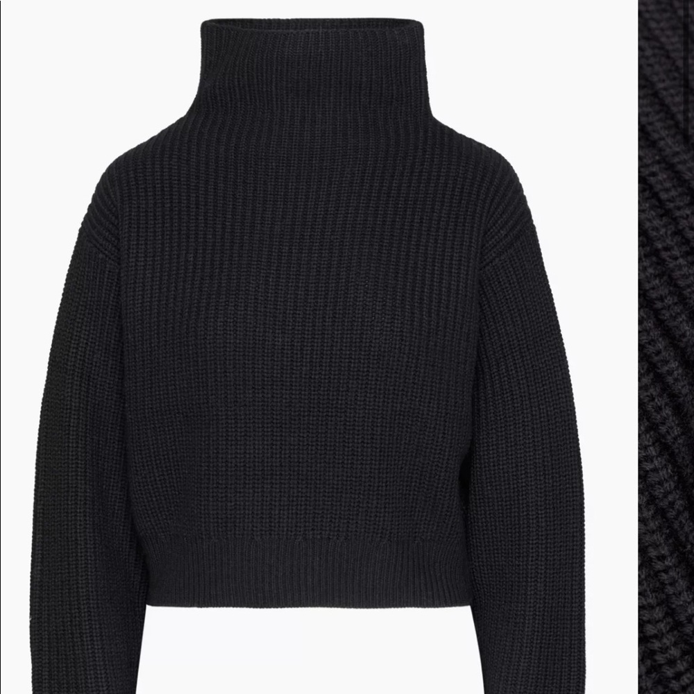Aritzia Montpellier Waist turtleneck